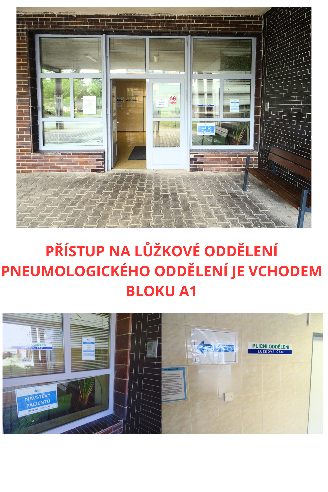 přístup na luzkove odd pneumologie
