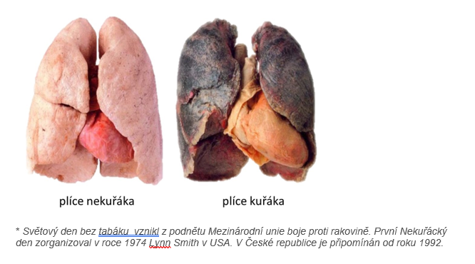 obr plice kuraka nekuraka