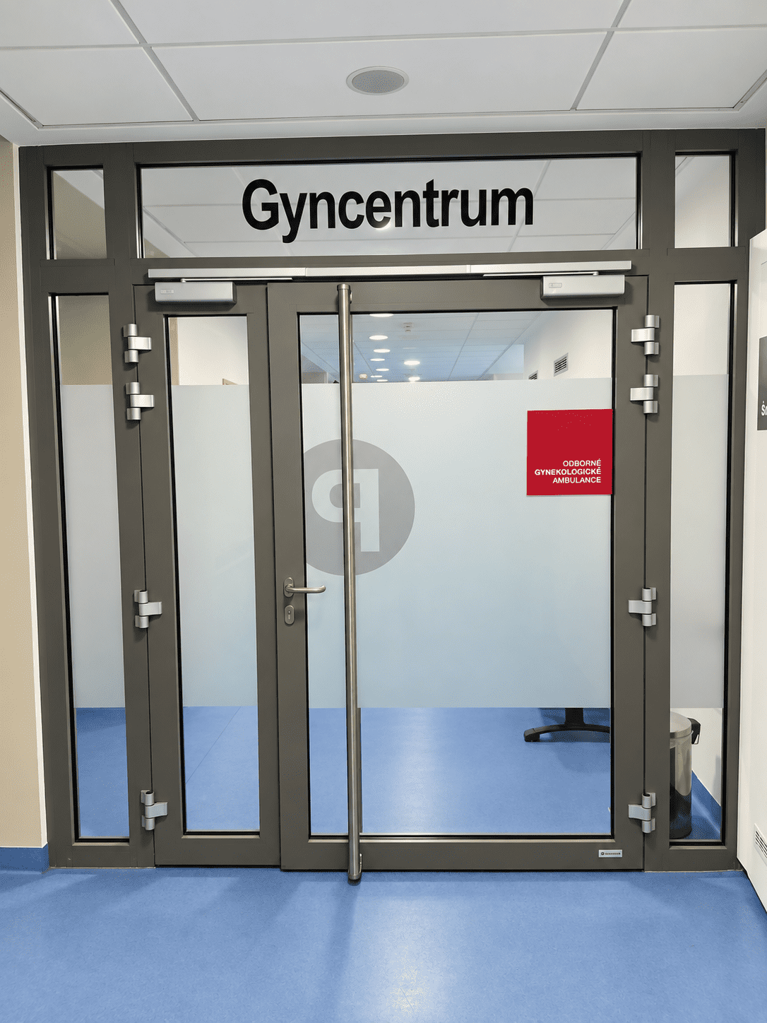 c2 prizemi amb gyn 5 optimized